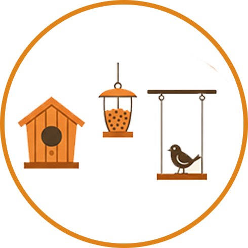 Bird Accessories